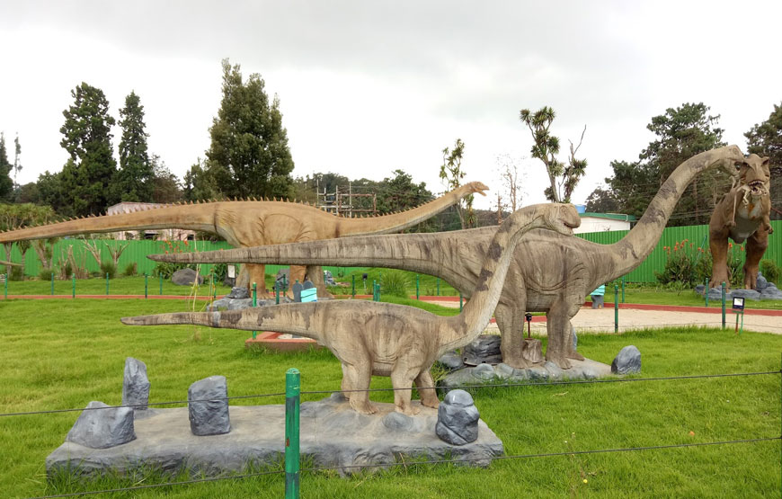 Valparai-Topslip Wildlife Tours