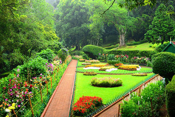 Valparai-Topslip Wildlife Tours