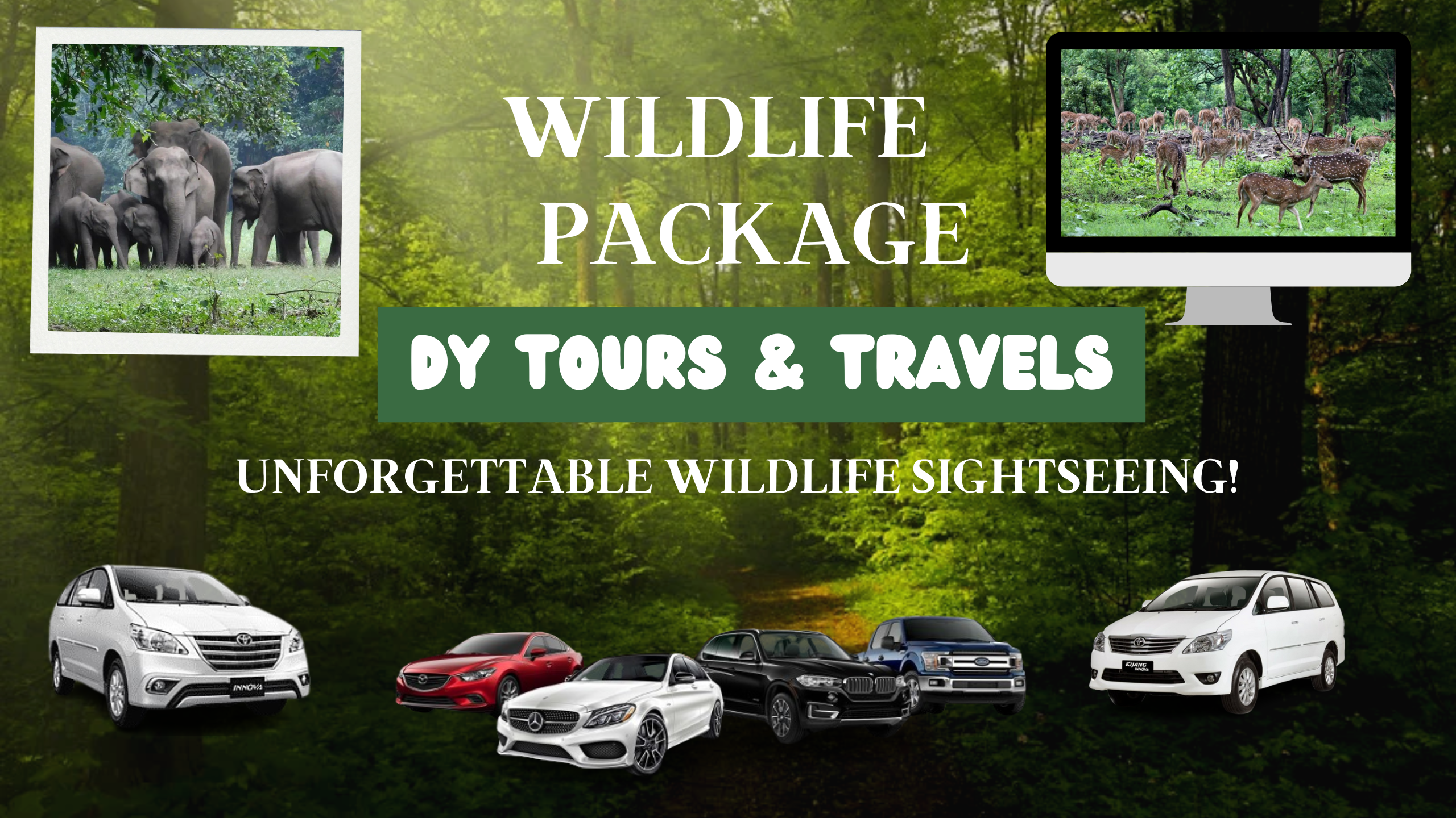Valparai-Topslip Wildlife Tours
